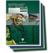 Pastelmat green tones, blok do pasteli Clairefontaine, 30/40 cm