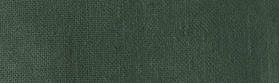 01921 Olive Green, kryjąca farba do tkanin Rich, 50 ml