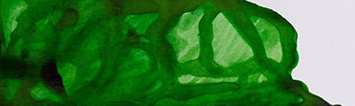 011 Apple green, tusz rysunkowy Winsor &amp; Newton, 14ml