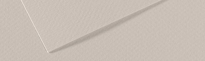 120 Pearl grey, Mi-Teintes Canson A4