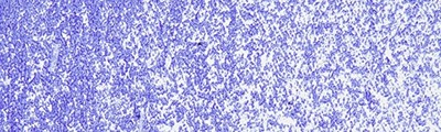 005 Ultramarine blue, pastel olejna Sennelier