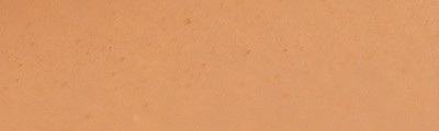 010 Red brown, pastel sucha a l' ecu Sennelier