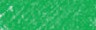 008 Light green, pastel w kredce Conté a Paris