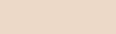 9401 Warm Grey 1, pisak kleślarski Graph'it Brush