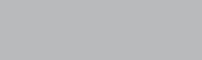 Neutral grey 1, BrushmarkerPRO Karin