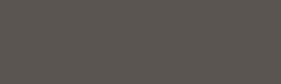 Cool grey 5, pisak Brushmarker W&amp;N