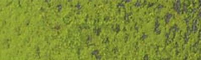 245 Light olive 40 %, Pastel Pencil, Caran d'Ache