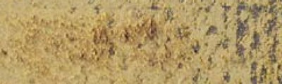 736 Brown olive 50%, Pastel Pencil, Caran d'Ache