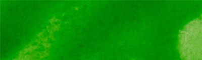 150 Light Green, tusz alkoholowy Aura, 15 ml