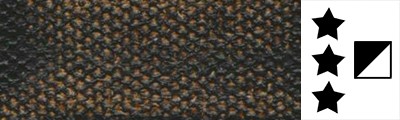 2442 VanDyke Brown Hue, Golden Fluid 30 ml