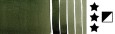 194 Perylene Green, akwarela Daniel Smith 15 ml