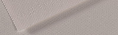 186 Moon Grey, Mi-Teintes Canson 50 x 65 cm