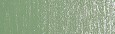 072B Leaf Green 1, pastel sucha Schmincke