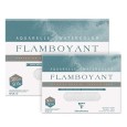Blok akwarelowy Flamboyant ER, 20 ark. 300 g, 24 x 32 cm