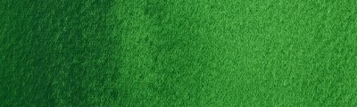420 Cinnabar Green, akwarela Professional, tubka 5 ml