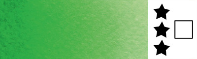 739 Bright Green, akwarela w kostce Rosa Gallery