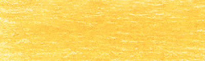 0200 Sunflower, DRAWING Derwent