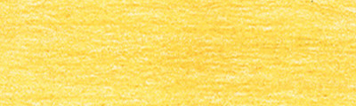 0300 Mustard, DRAWING Derwent