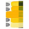 2147 Diarylide Yellow, Golden Fluid 30 ml